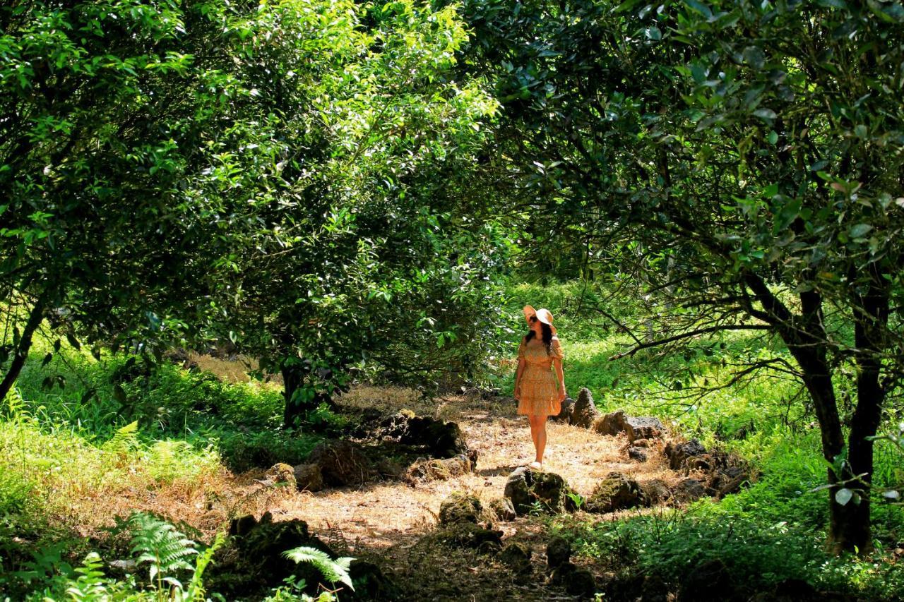Bellavista  Natura Gardens Galapagos מראה חיצוני תמונה