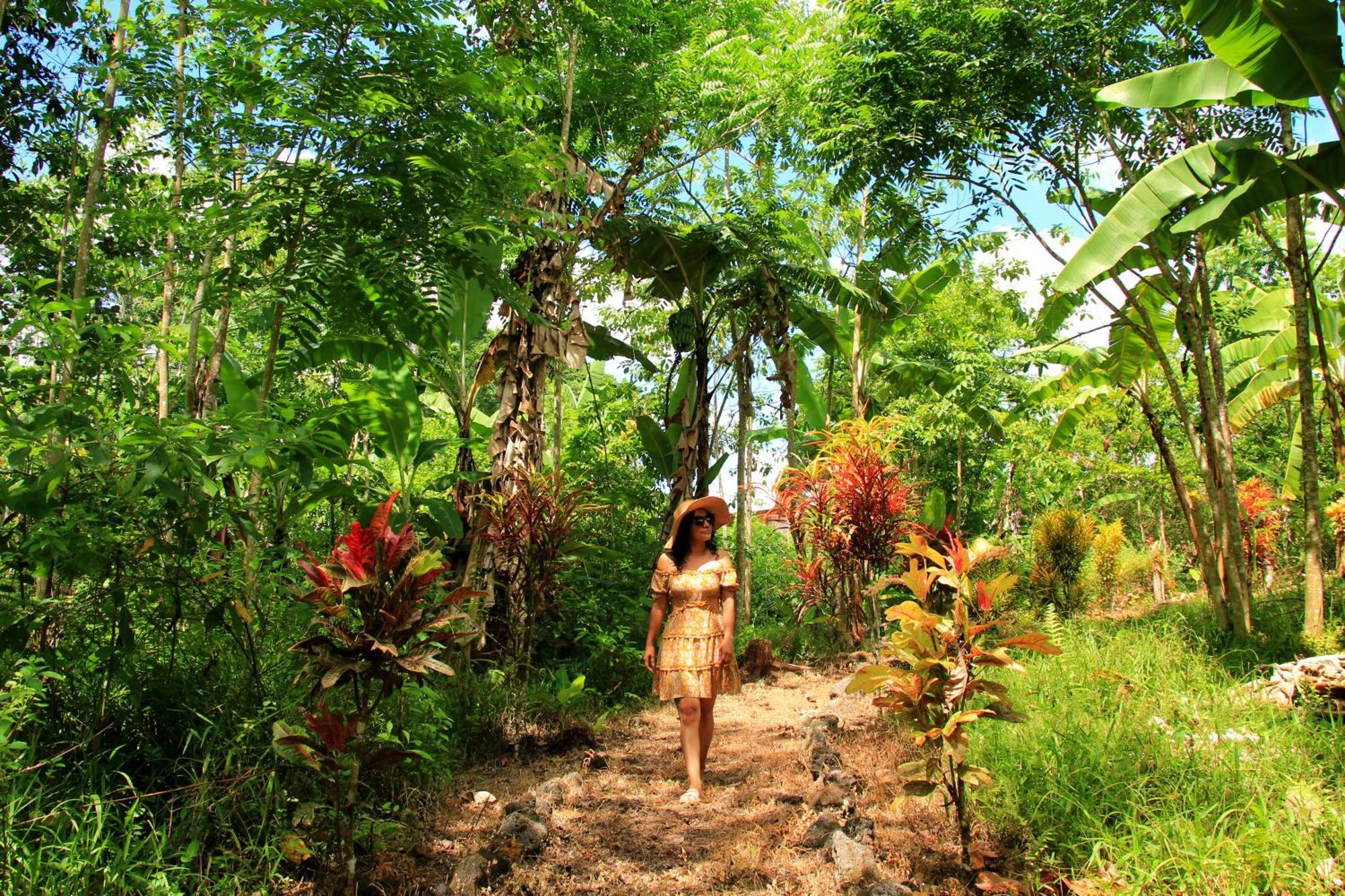 Bellavista  Natura Gardens Galapagos מראה חיצוני תמונה